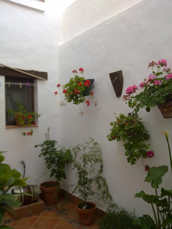 Casa Los Tres Aires エル・ロシオ エクステリア 写真